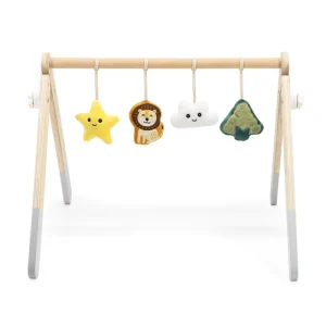 Baby Play Gym