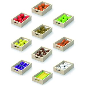 Viga Toys – Fruit & Vegetable 10 Box Set
